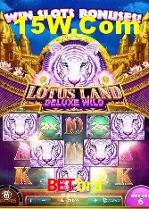 Recursos de Bônus Betbra